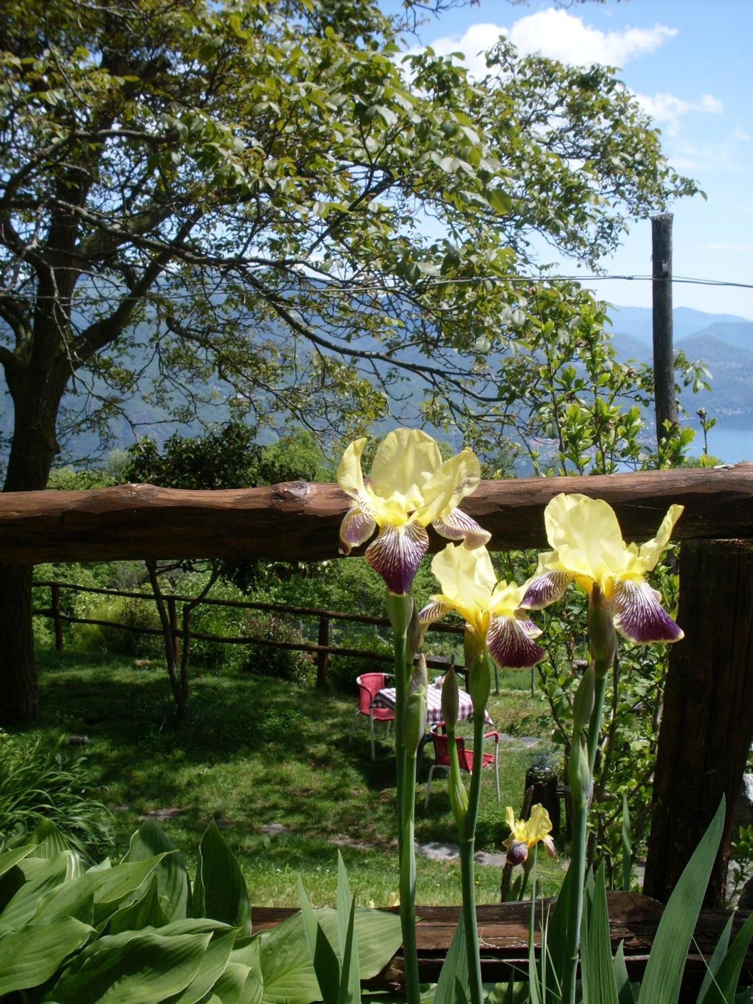 Agriturismo Da Attilio Cannobio Εξωτερικό φωτογραφία