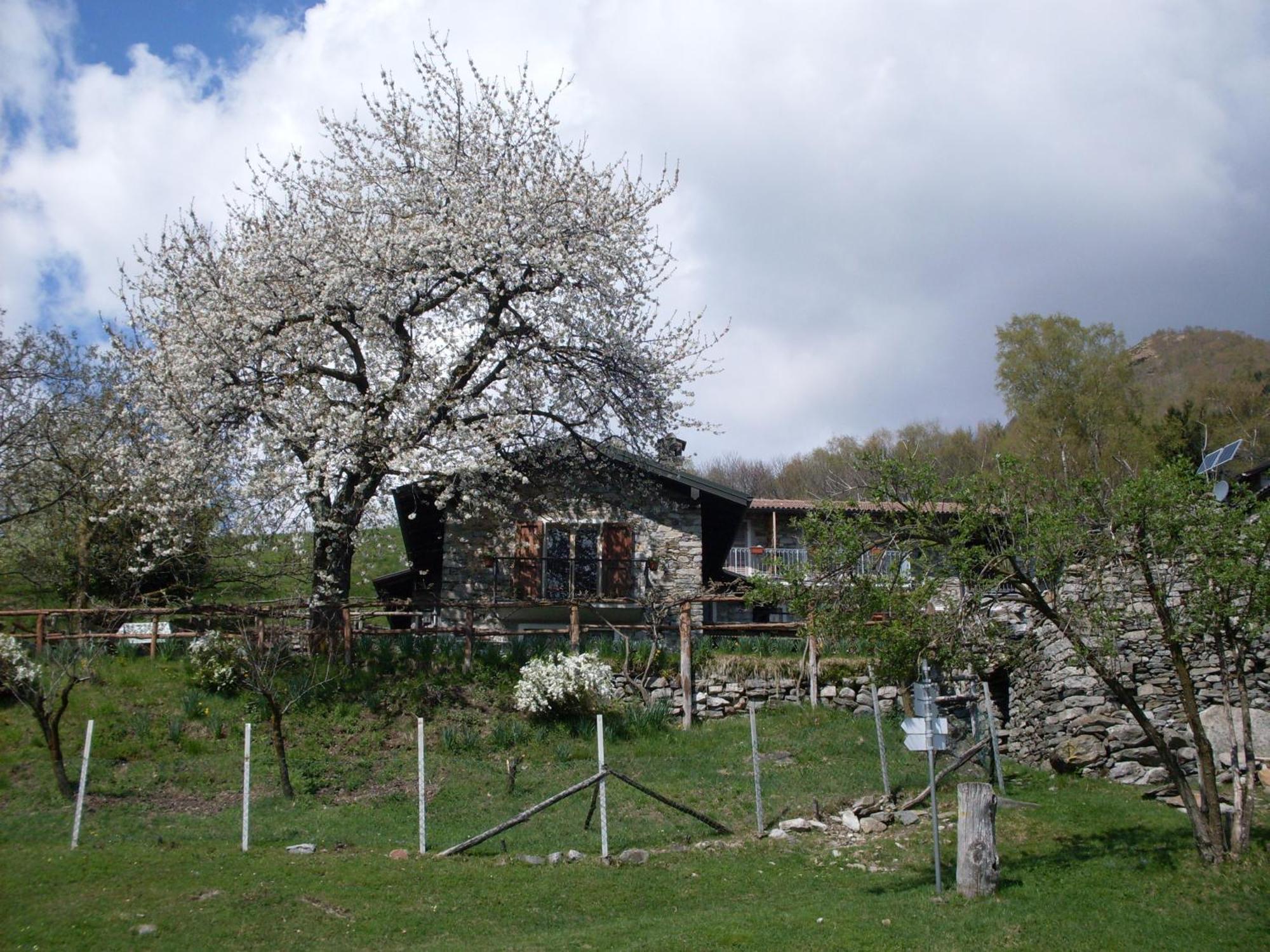 Agriturismo Da Attilio Cannobio Εξωτερικό φωτογραφία