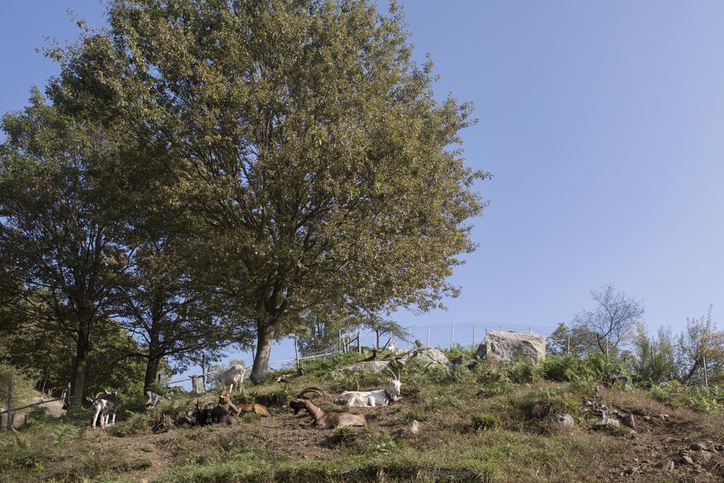 Agriturismo Da Attilio Cannobio Εξωτερικό φωτογραφία