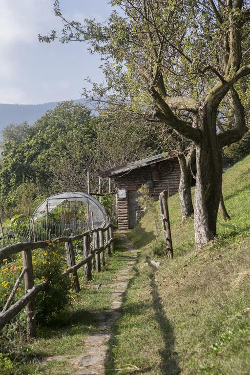 Agriturismo Da Attilio Cannobio Εξωτερικό φωτογραφία