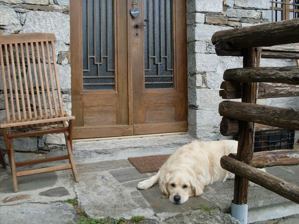 Agriturismo Da Attilio Cannobio Δωμάτιο φωτογραφία